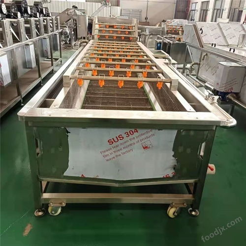 蔬菜清洗機(jī) 普通機(jī)械設(shè)備安裝服務(wù)詳解